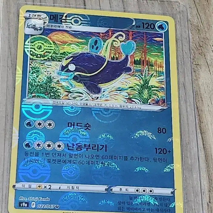 [BUNJANG] Pokemon Card Shiny Groudon Bundle Set / 포켓몬 카드 신지칸다 두빅굴ar(일판)+신지칸다 카드 일괄