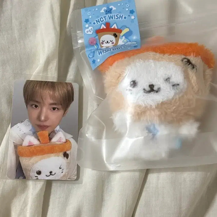 [BUNJANG] NCT WISH Yushi Bubble Cat Pocket Wish Doll / 엔시티위시 nct wish 포켓 위시돌 버블냥 유우시 미개봉