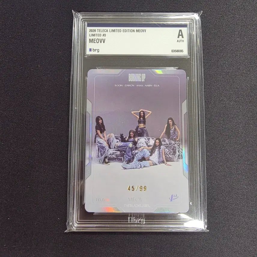 [BUNJANG] Miyau Limited Edition Group 99 &