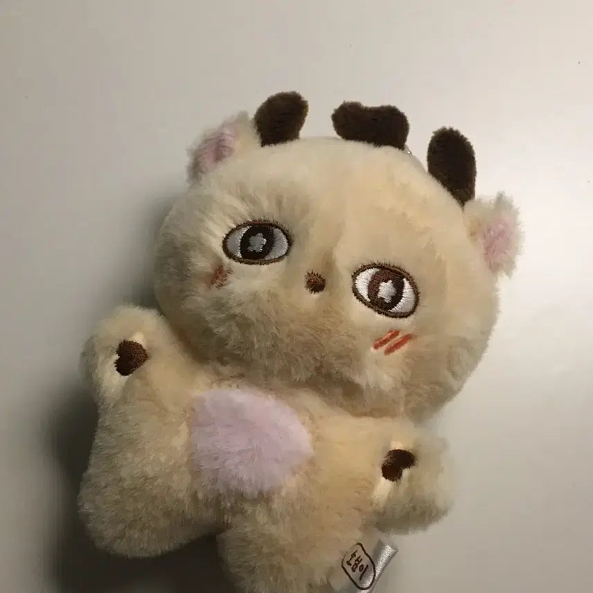 [BUNJANG] Park Jihoon So-simi Doll / 박지훈 소심이 인형 (오늘만 25000 )