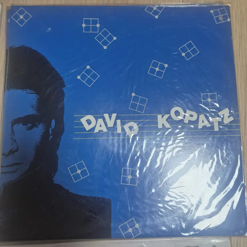[BUNJANG] David Kopatz "David Kopatz" LP (Sealed) / 미개봉(비닐 안뜯음) David kopatz 의 <David kopatz> LP 판매합니다.