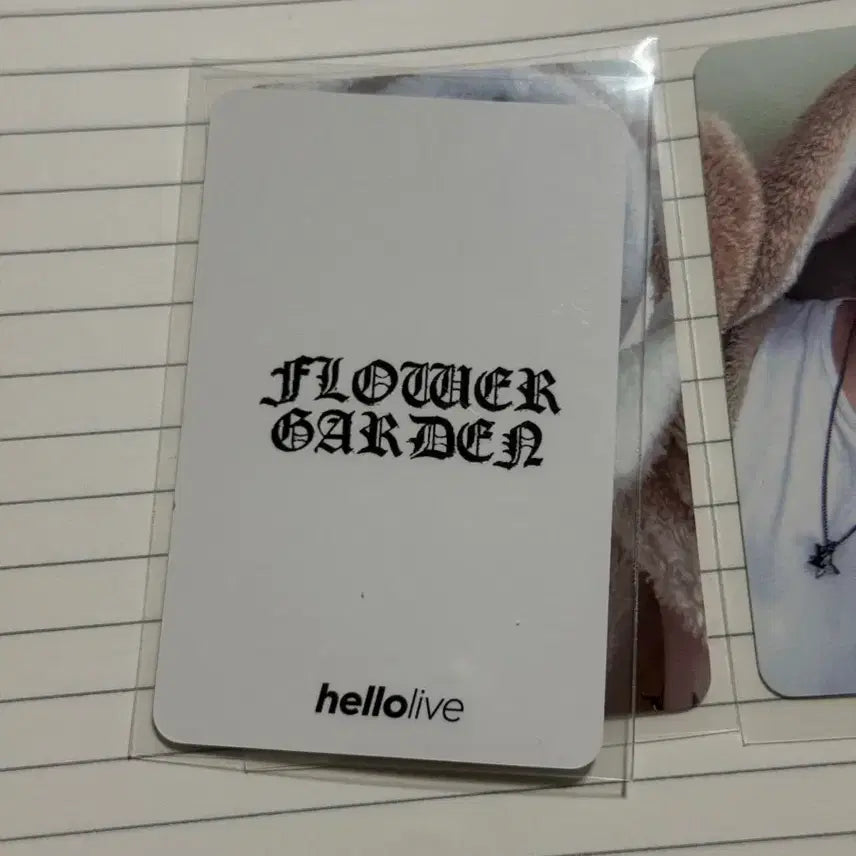 [BUNJANG] Kim Jaejoong Flower Garden Helra Rabbit Blanket Photocard Set / 김재중 플라워가든 헬라 토끼담요 포카 세트