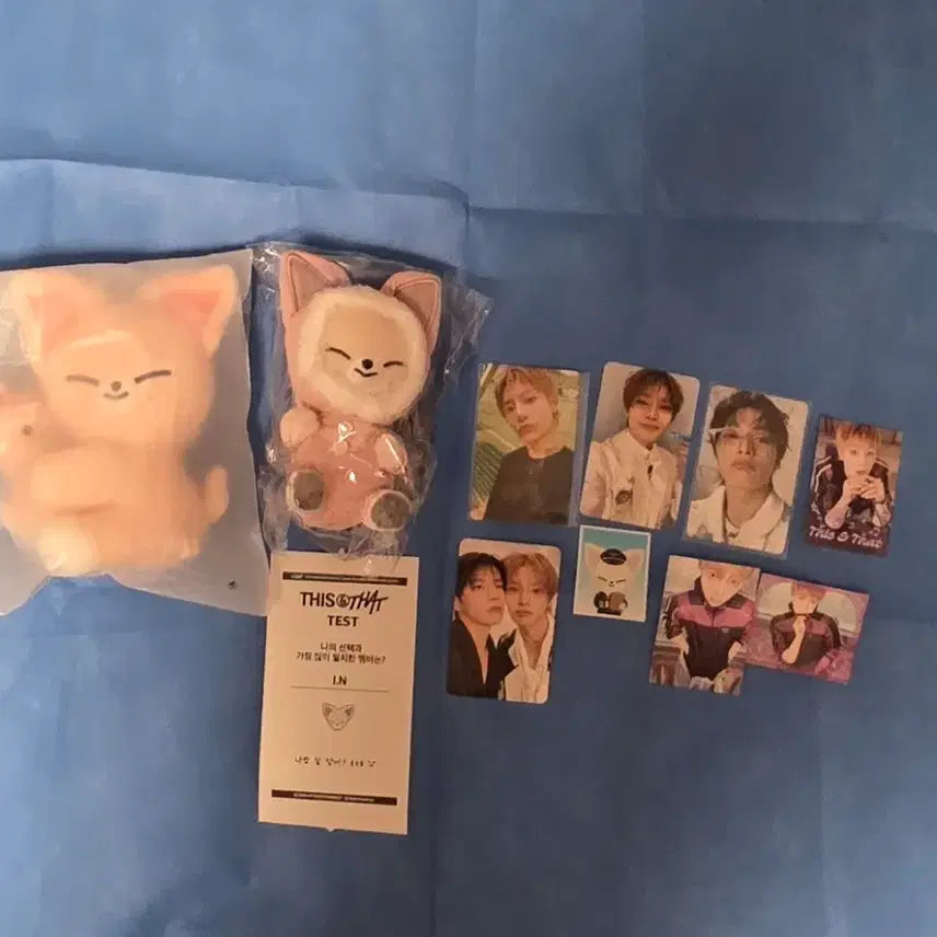 [BUNJANG] Stray Kids I.N SKZOO Skzoo Photocard / 폭시니 아이엔  양정인  스키주 스키즈 스트레이키즈 straykids skzoo this 팝업 포카 생일 선물