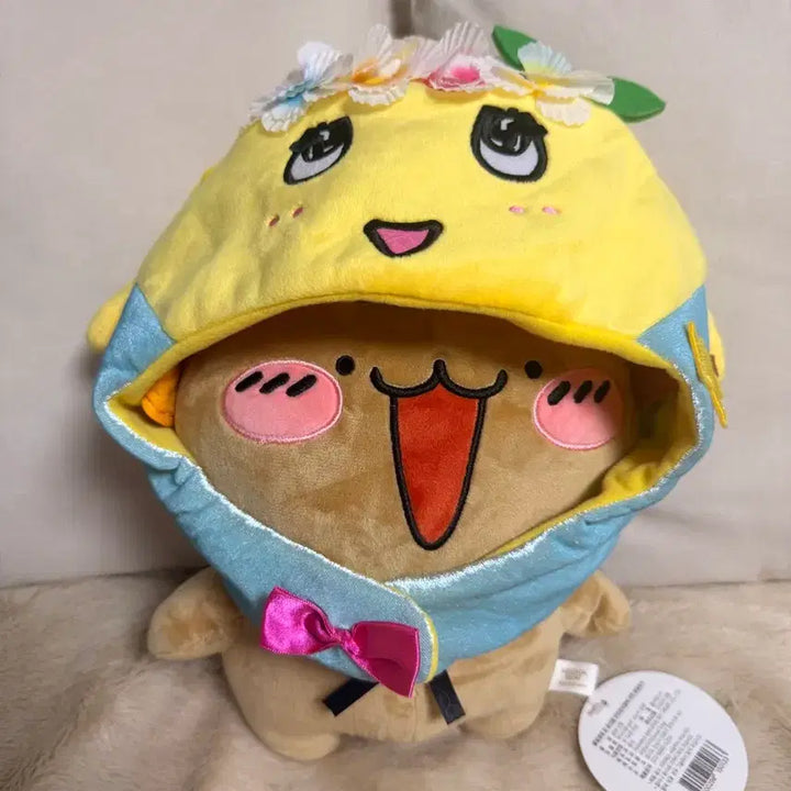 [BUNJANG] Funassy Official Japanese Hat / [새상품/일본정품]후낫시 모자