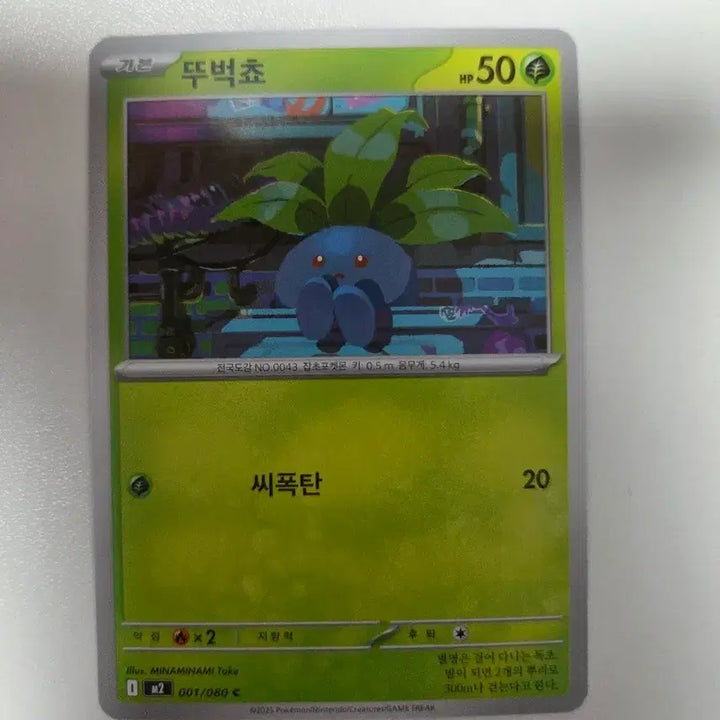 [BUNJANG] Pokemon TCG Paras / 포켓몬 카드 뚜벅쵸
