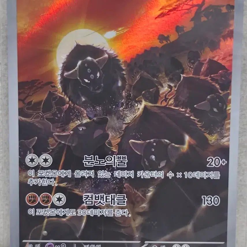 [BUNJANG] Pokemon Card Paldea Taron AR / 포켓몬카드 팔데아켄타로스ar