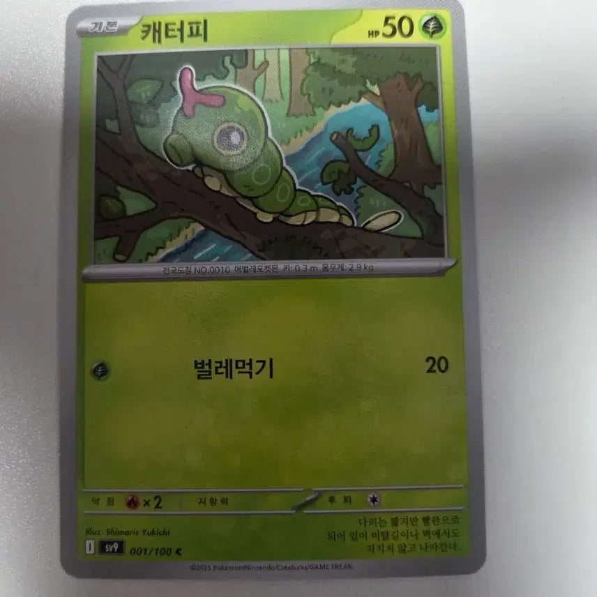 [BUNJANG] Pokemon Card Caterpie / 포켓몬 카드 캐터피