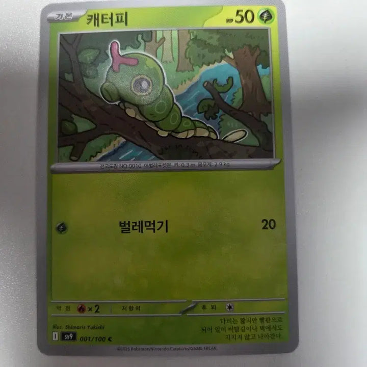 [BUNJANG] Pokemon Card Caterpie / 포켓몬 카드 캐터피