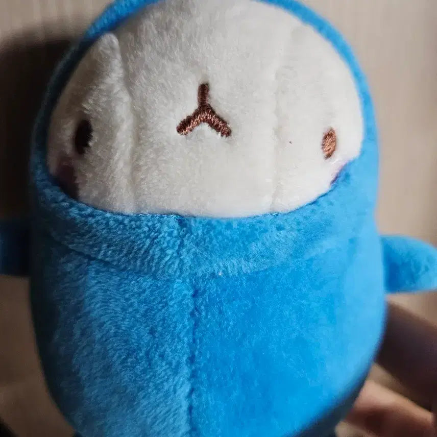 [BUNJANG] Molang Cat Blue Plush Keychain / 몰랑이 고양이 블루 인형 키링 판매