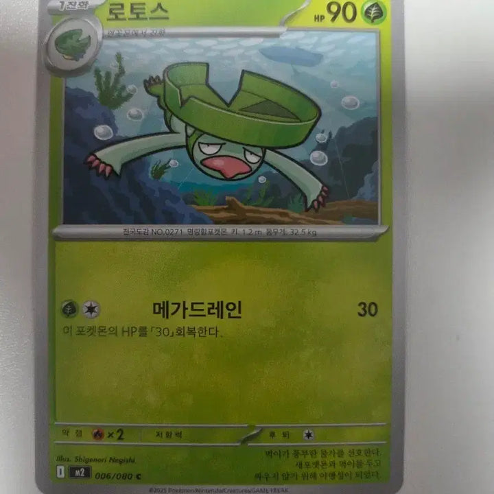 [BUNJANG] Pokemon Card Lot (90 HP) / 포켓몬 카드 로토스 90HP