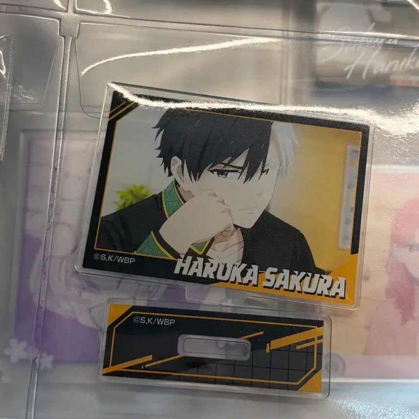 [BUNJANG] Winbreak Haruka Sakura Acrylic Stand / 윈브레 하루카 사쿠라 아크릴 스탠드