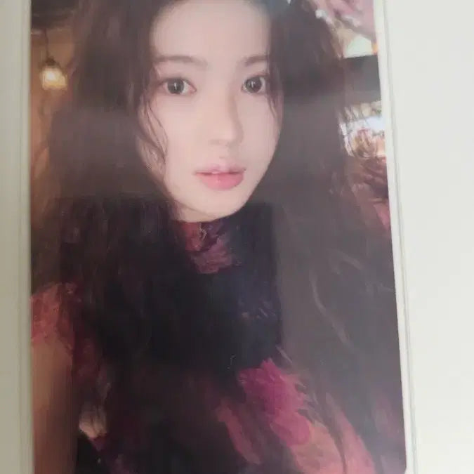 [BUNJANG] Kiiikiii Sui Waikiki 2nd Week Studio Photocard / 키키 kiiikiii 수이 와이키키 2주차 공방포카