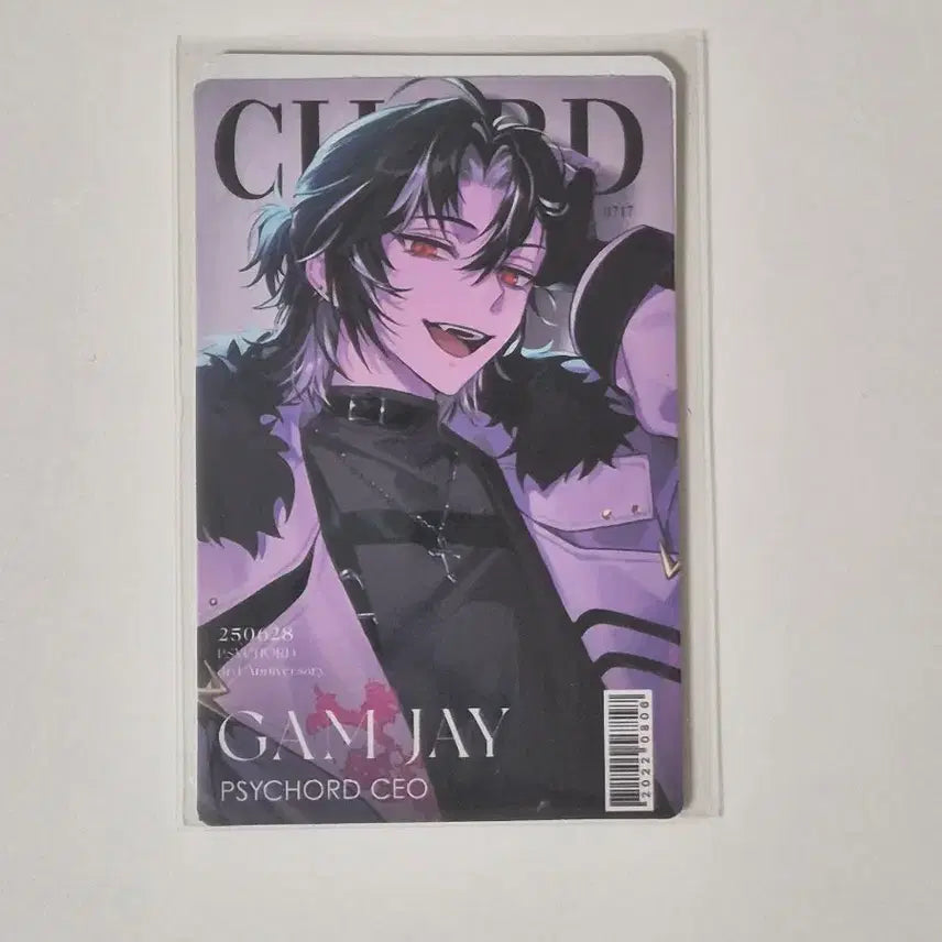 [BUNJANG] SSIZ CODE 3rd Anniversary Gamjay Photocard Magazine / 싸이코드 3주년 굿즈 감제이 포토카드 잡지 포카