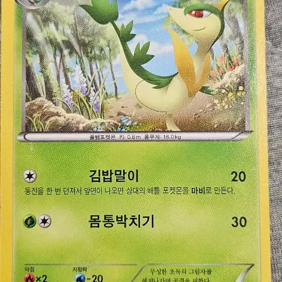 [BUNJANG] Pokemon Card Serperior + Servine / 포켓몬 카드 샤로다+ 샤비
