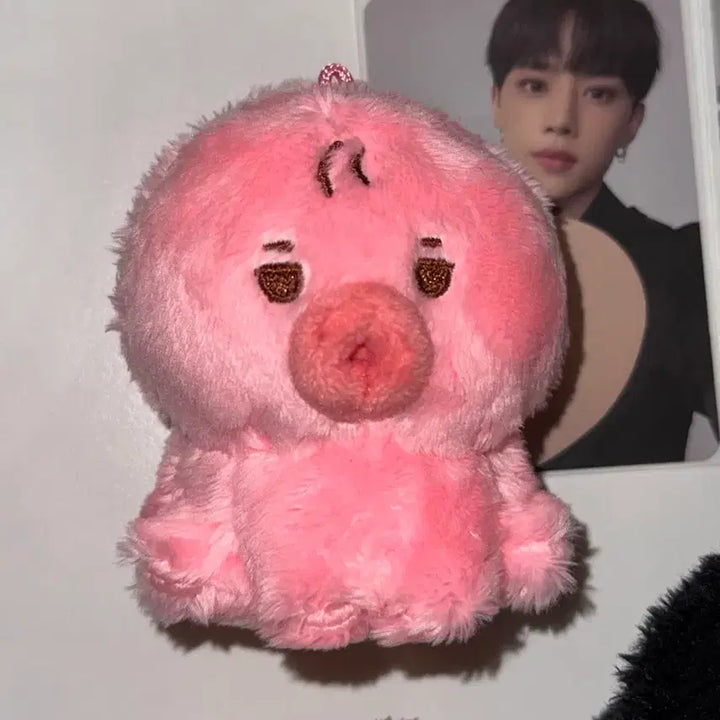 [BUNJANG] The Boyz Sunwoo Doll Bundle Set (Uhjjalssun, Tteonko, Jjokuri) / 더보이즈 선우 인형 양도 떤코 쪼구리 우짤썬