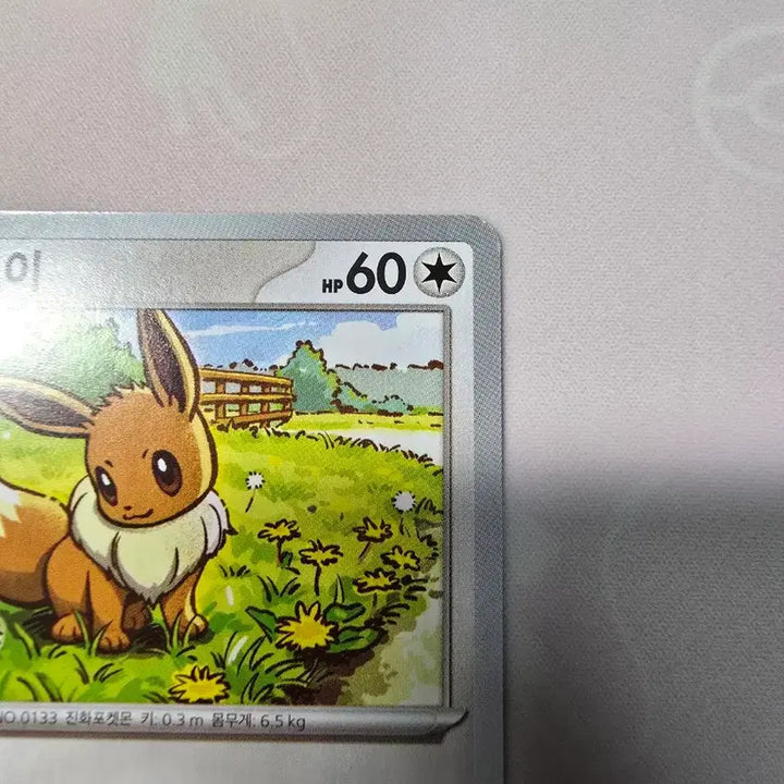 [BUNJANG] Pokemon Card Eevee 564/742 Korean Edition / 포켓몬카드 이브이 564/742 한글판 일반카드