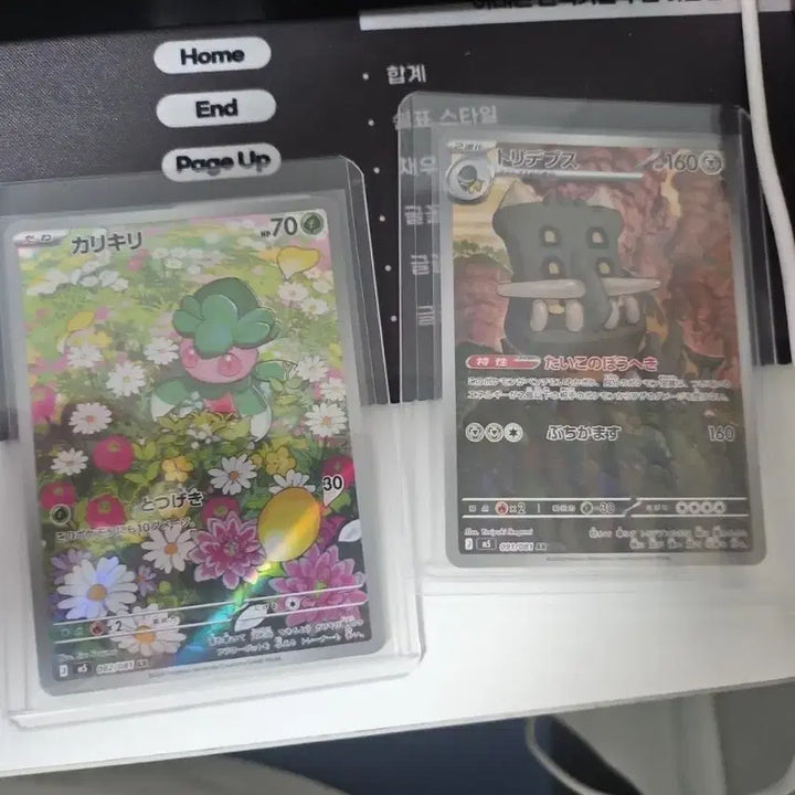 [BUNJANG] Pokemon Card Karikiri / Toridepus Japanese / 포켓몬 카드 카리키리 / 트리데푸스 are 일판