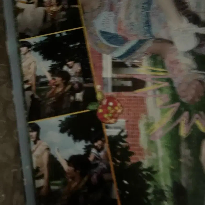 [BUNJANG] Wish Color Album First Press Limited Edition Photocard Set / 위시 컬러 앨범 초회 한정판 포카포함