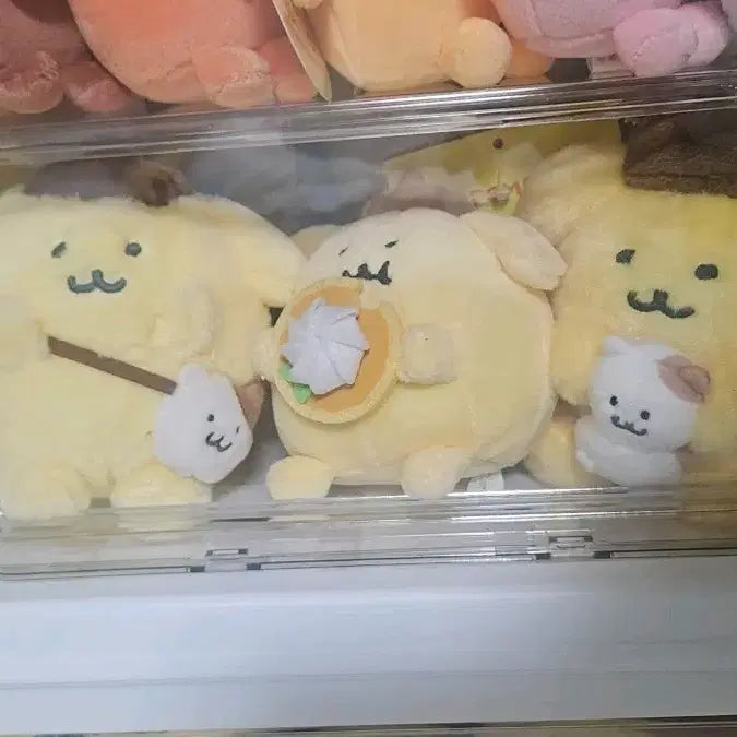[BUNJANG] Pompompurin Nagano 3-Piece Set / 폼폼푸린 나가노 3종세트