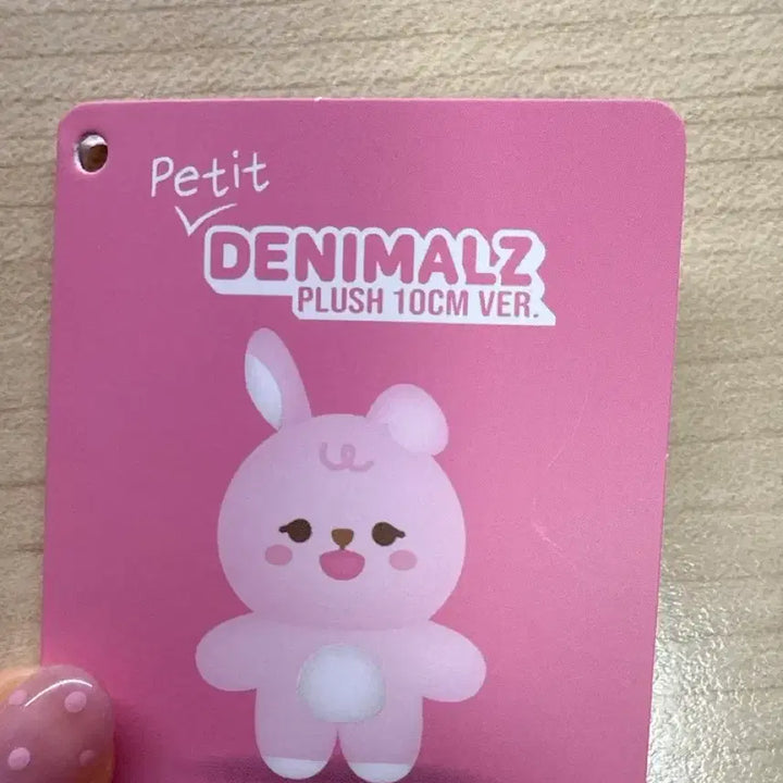 [BUNJANG] DAY6 Wonpil Doll Bundle Set / 원필 인형