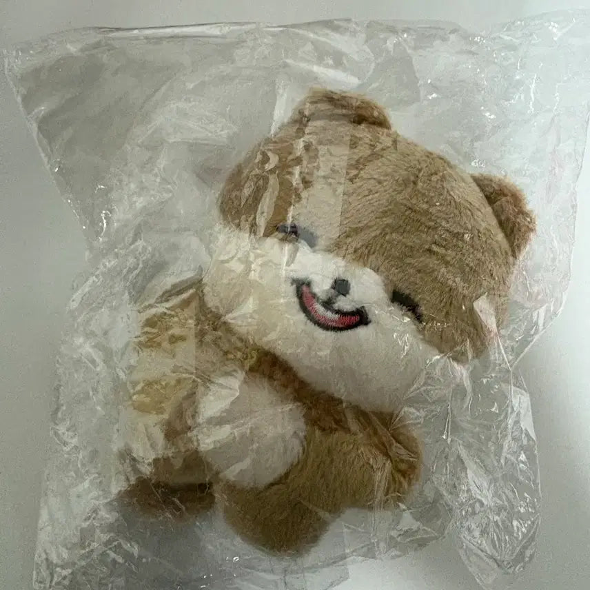 [BUNJANG] Shotaro "Shotangkong" Plush Doll (Sealed) / 쇼타로 인형 쇼탕콩 미개봉 양도