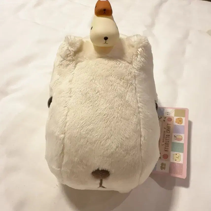 [BUNJANG] Capybara Plush Toy / 카피바라상 인형