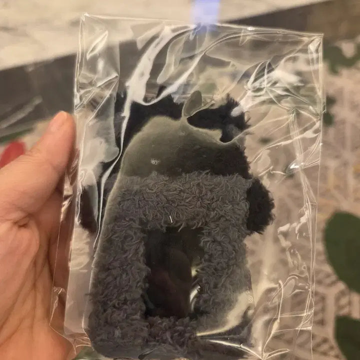 [BUNJANG] Young K Solo Concert Youngest Photocard Holder / 영케이 솔로 영기스트 콘서트 굿즈 , 포카 홀더