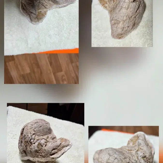 [BUNJANG] Rare Petrified Wood Stone / 규화석  희귀수석