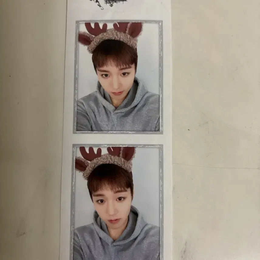 [BUNJANG] Park Jihoon Photoism Photocard / 박지훈 포토이즘 양도