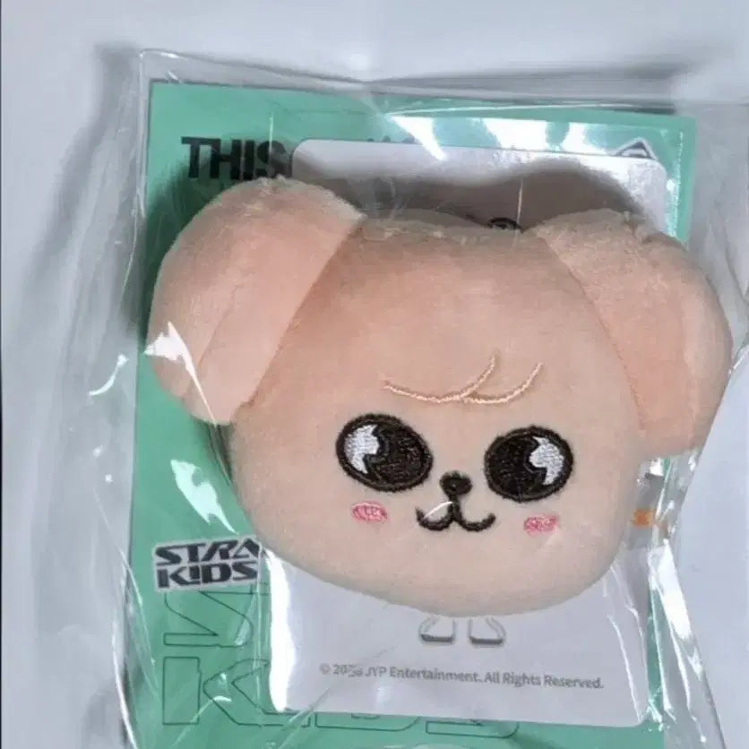 [BUNJANG] Stray Kids Disc&amp;That Popup Magnet Holder GripTok Seungmin / 미개봉, 원가이하)스키즈 스트레이키즈 디스앤댓 팝업 마그넷 홀더 그립톡 퍼핌 김승민