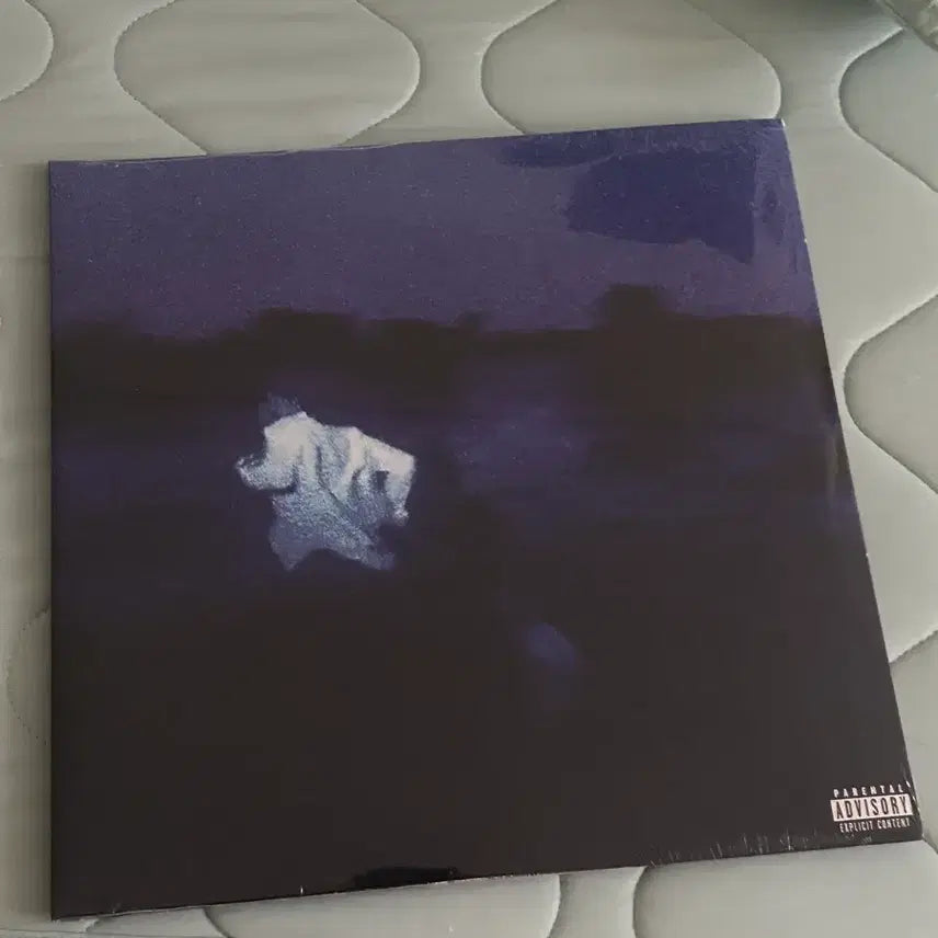 [BUNJANG] Daniel Caesar Never Enough Orange 2LP / 다니엘 시저 never enough