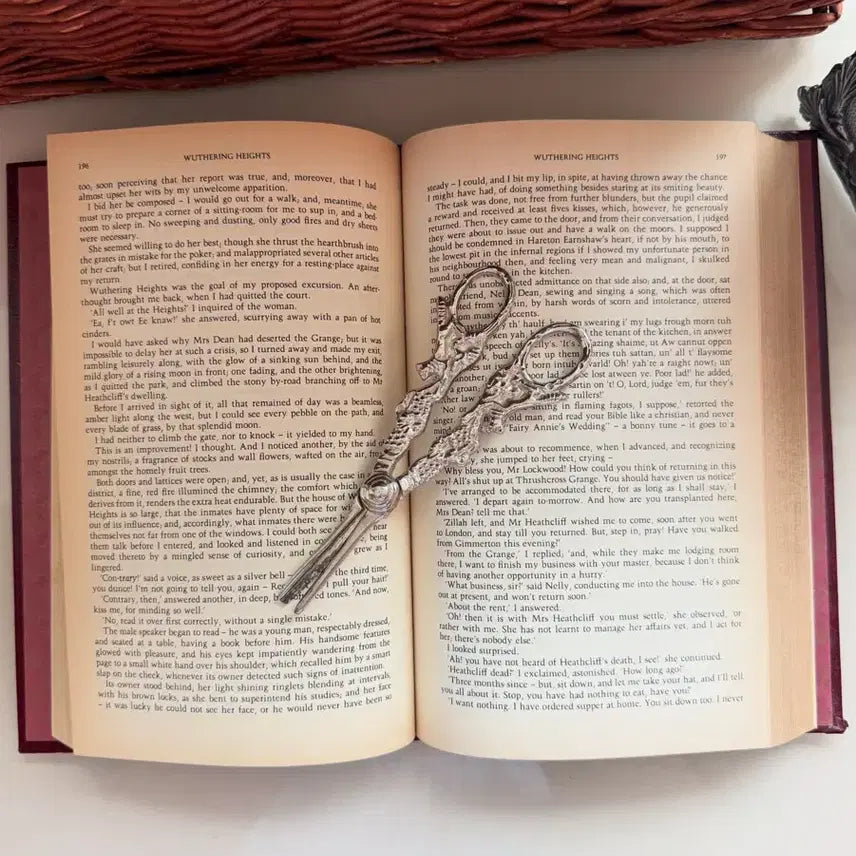 [BUNJANG] Vintage Silver-Plated Scissors with Floral Engraving / 실버플레이티드 빈티지 가위