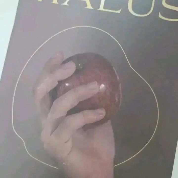 [BUNJANG] ONEUS MALUS Individual Album / 원어스 말루스 개인 앨범