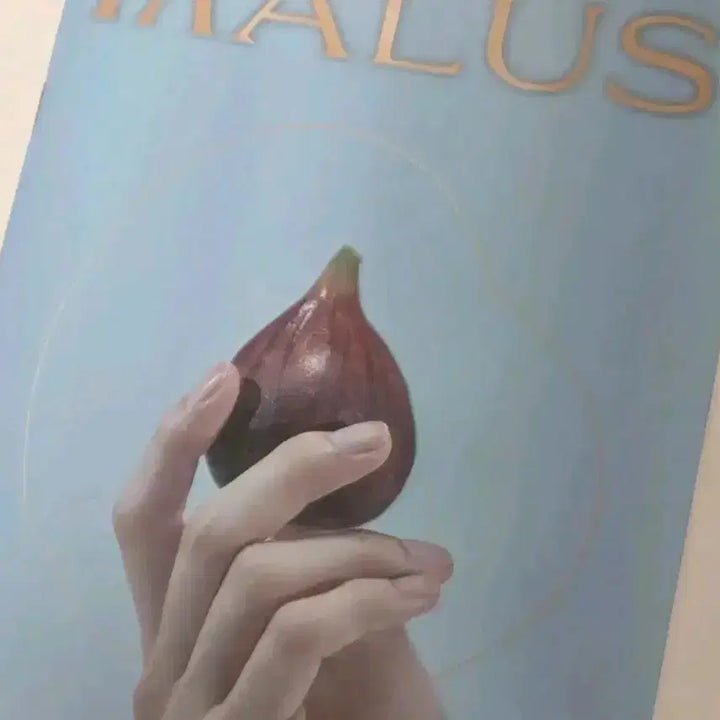 [BUNJANG] ONEUS MALUS Individual Album / 원어스 말루스 개인 앨범
