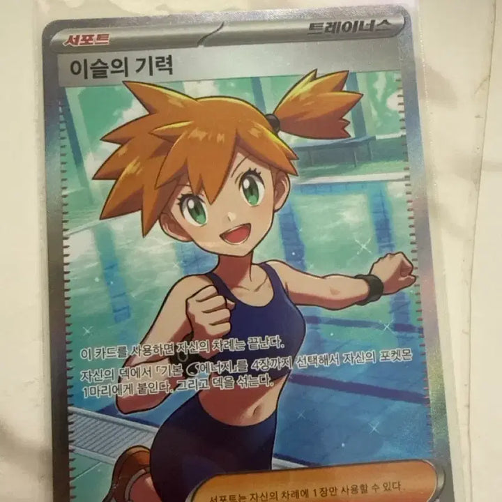[BUNJANG] Mewtwo, Rayquaza, Darkrai, Mamoswine, Exeggutor, Slowking, Cynthia&