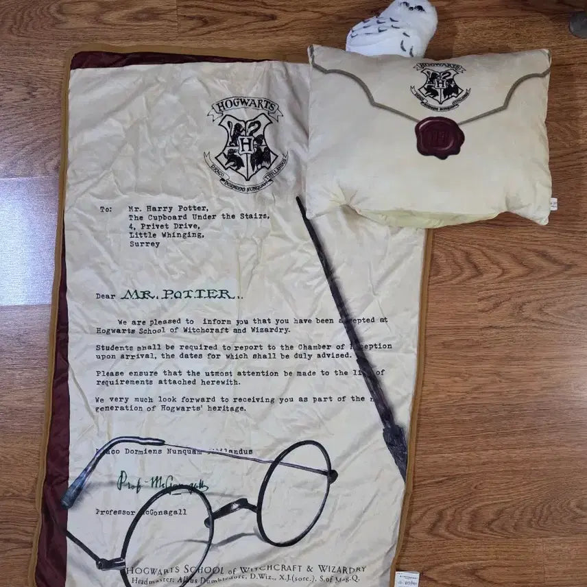 [BUNJANG] Harry Potter Hogwarts Acceptance Letter Blanket + Cushion Set / 해리포터 호그와트 입학 통지서 담요 + 쿠션 세트