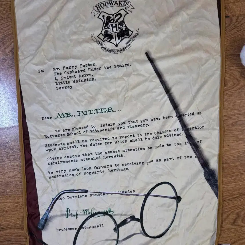 [BUNJANG] Harry Potter Hogwarts Acceptance Letter Blanket + Cushion Set / 해리포터 호그와트 입학 통지서 담요 + 쿠션 세트