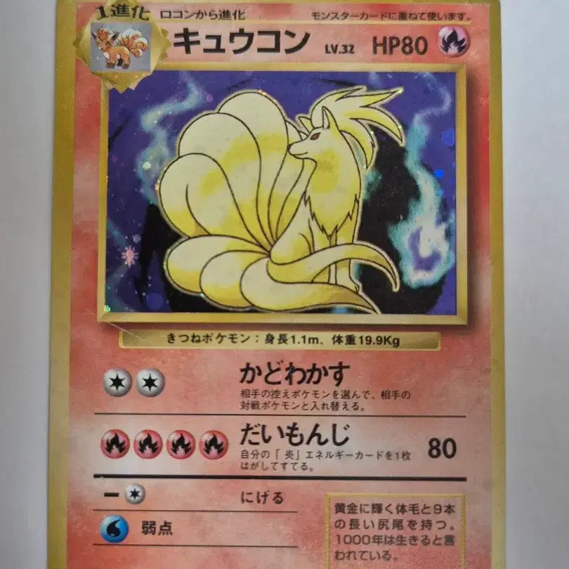 [BUNJANG] Vintage Ninetales Old Back Pokemon Card Bundle Set / 빈티지 나인테일 올드백 포켓몬 카드