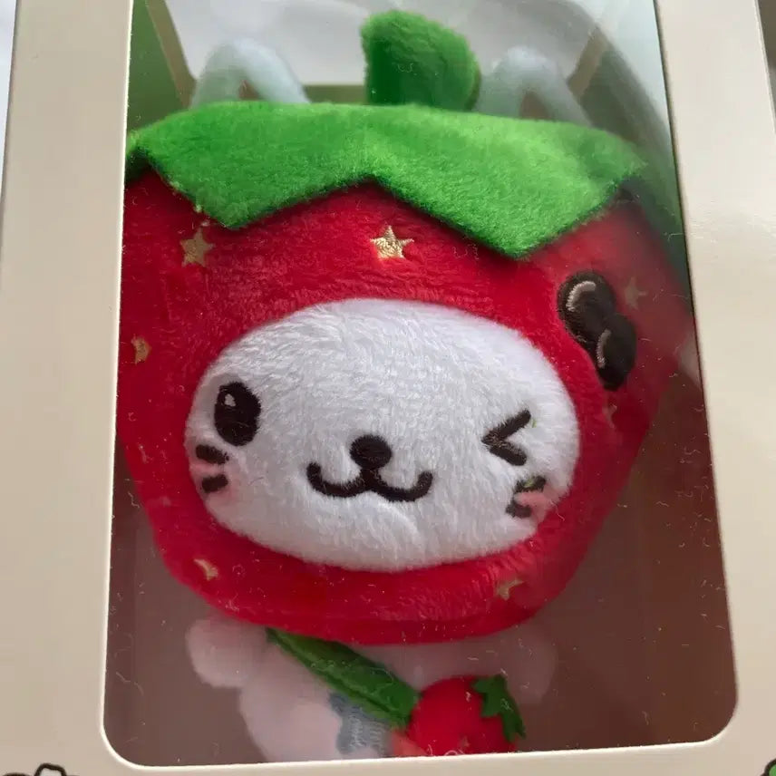 [BUNJANG] NCT Wish Yushi Strawberry Bubble Nya Wish Bakery Popup Photocard / 딸기 버블냥 위시돌 유우시 일본 위시 베이커리 팝업 엔시티 위시 nct wish