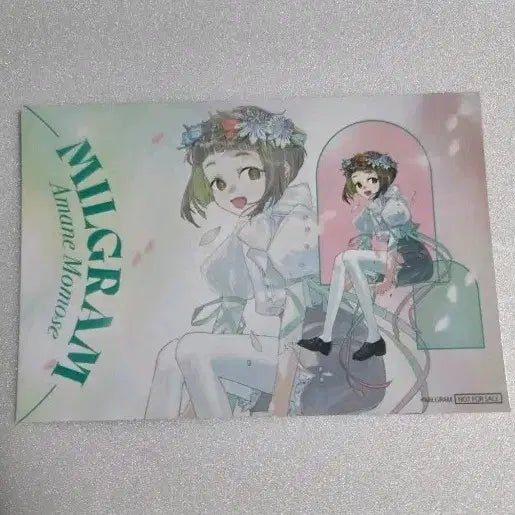 [BUNJANG] Milgram Amane Postcard / 밀그램 MILGRAM 아마네
