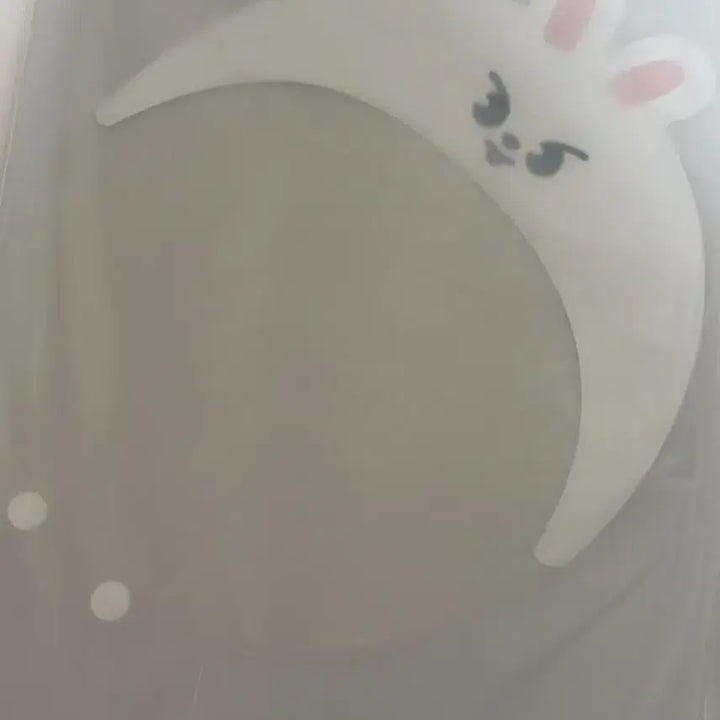 [BUNJANG] Stray Kids Leebit Uchiwa Cover Mini / [최저가]스키즈 리빗 우치와 커버 미니