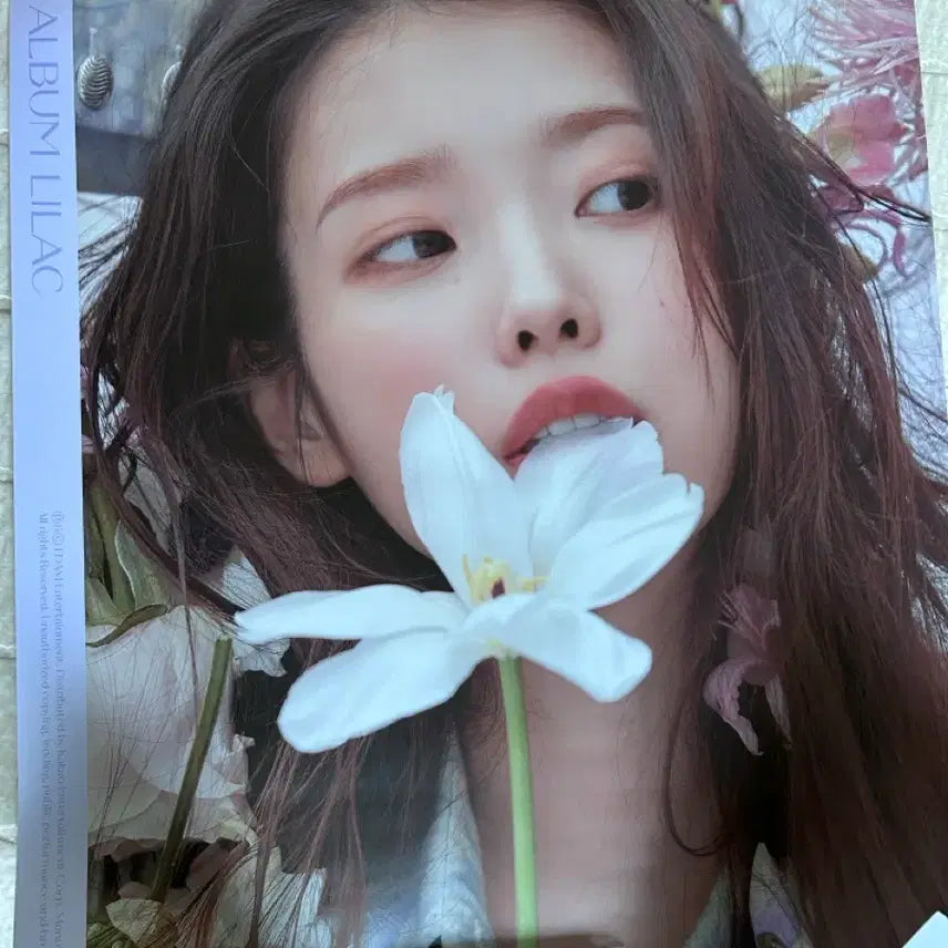 [BUNJANG] IU &