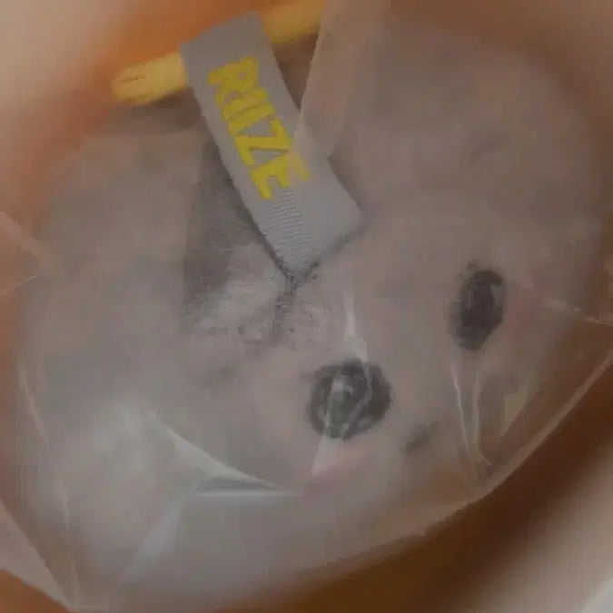 [BUNJANG] RIIZE POP MART Fluffy Doll Seokwoong (Seok) &amp; Eunseok (Yongdol) / 라이즈 팝마트 플러피 인형 양도  송용돌이 은석