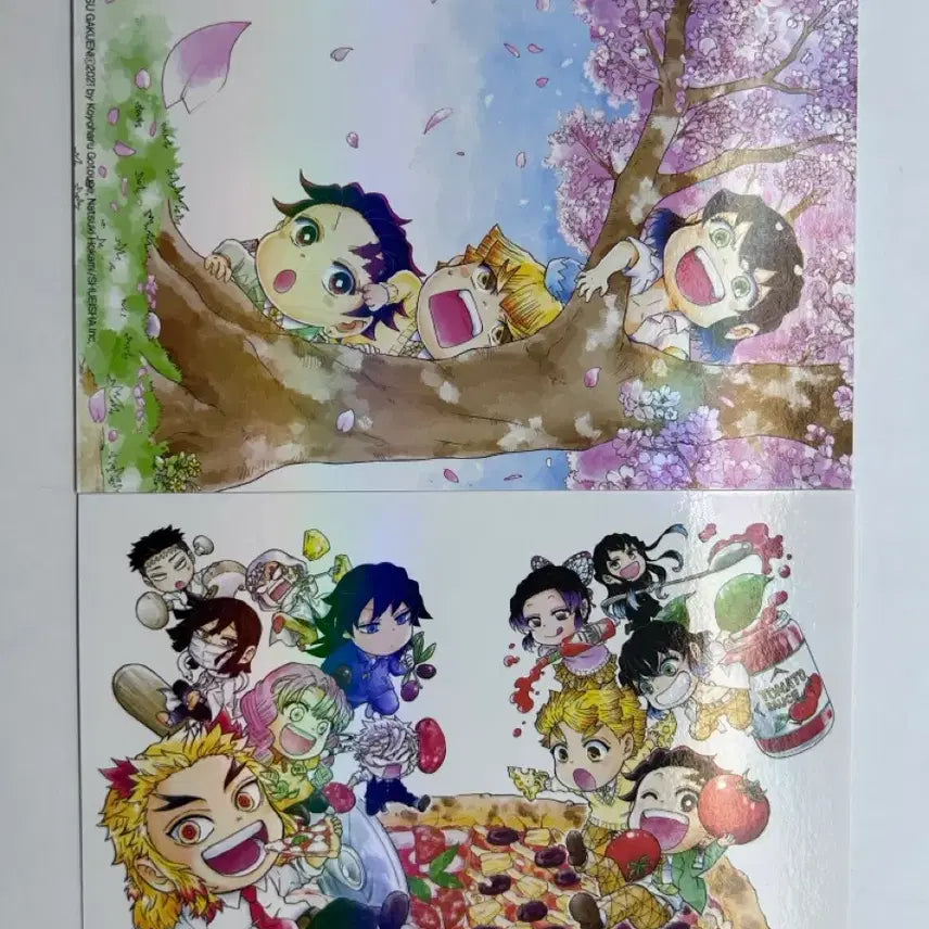 [BUNJANG] Demon Slayer Academy Vol. 6 Special Edition Postcard Set / 귀멸 학원 6권 특전 엽서