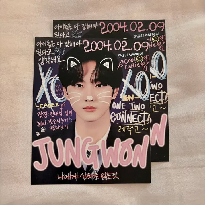[BUNJANG] Enhypen Jungwon Sticker, Prekura, Postcard, ID Photo Set / 묨님 엔하이픈 양정원 스티커 프리쿠라 엽서 증명사진