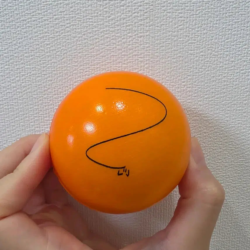 [BUNJANG] Stray Kids SKZ I.N. Signature Signed Ball (5-Star Dome Tour) / 아이엔 싸인볼 / 5-star 고척돔 투어 straykids skz I.N. signature signed ball