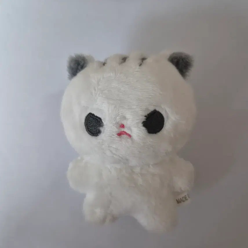 [BUNJANG] DEMODOJ TESTA Bae Sejin Animal Plush / 데못죽 테스타 배세진 동물 솜깅
