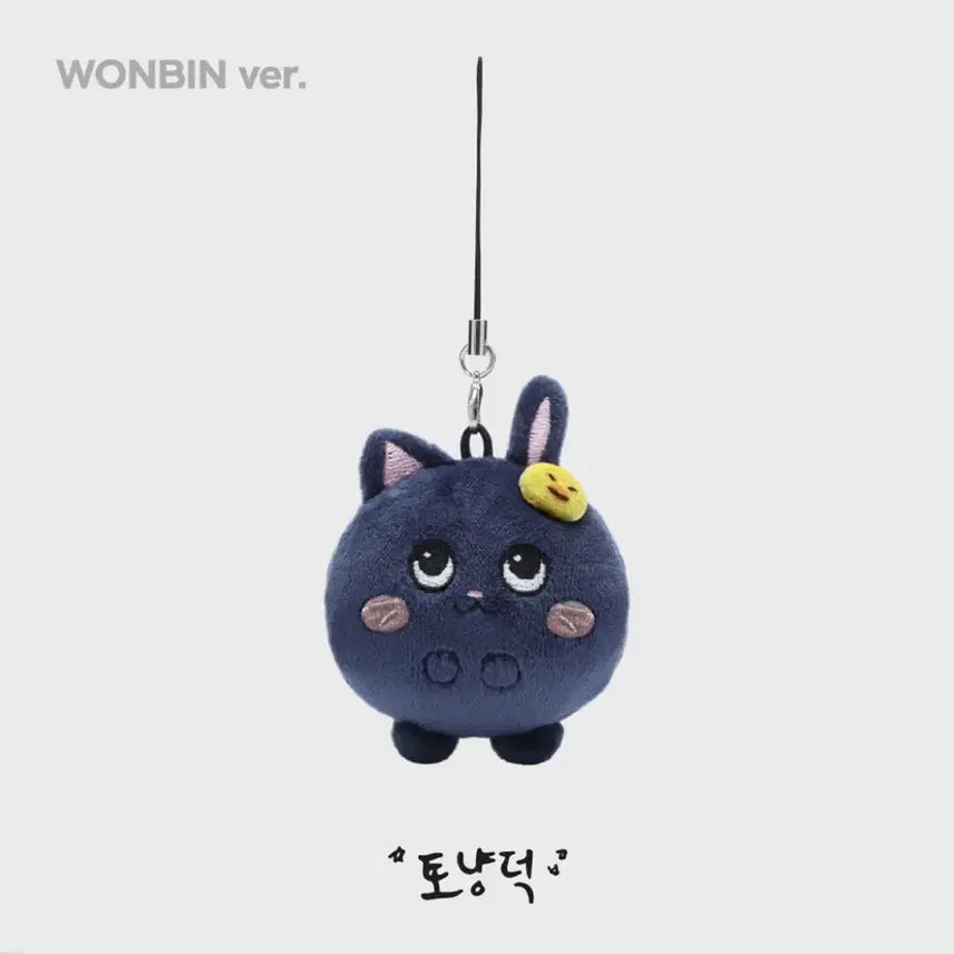 [BUNJANG] RIIZE Wonbin Tongnyangdeok 8cm Keychain (Sealed) / 라이즈 원빈 토냥덕 8cm 키링 미개봉 양도