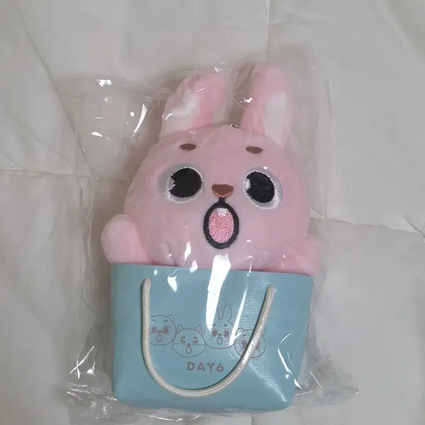 [BUNJANG] DAY6 Wonpil Japan MD Filkkil Fil Sealed Charm / 데이식스 원필 일본 엠디 백참 필끼 필 미개봉