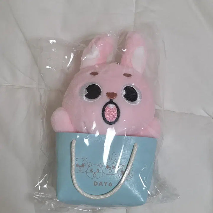 [BUNJANG] DAY6 Wonpil Japan MD Filkkil Fil Sealed Charm / 데이식스 원필 일본 엠디 백참 필끼 필 미개봉
